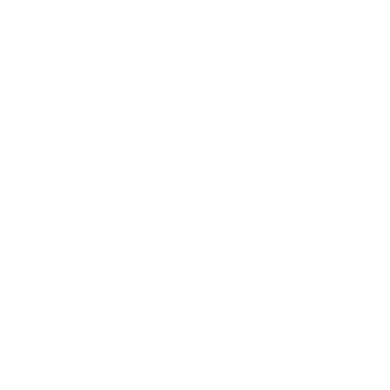 Voices of Liberty logo